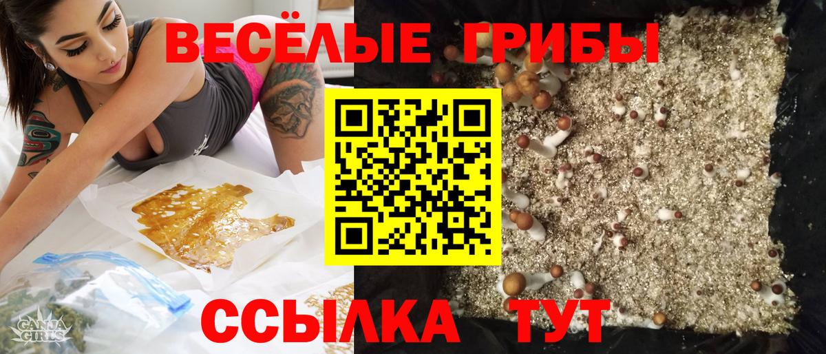 Галлюциногенные грибы мухоморы  Вход с VPN  Дубна 