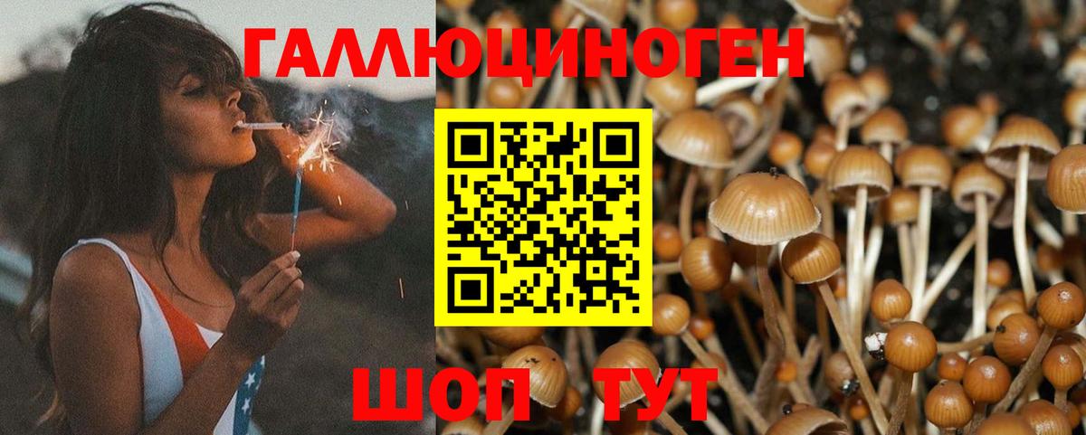 Галлюциногенные грибы ЛСД Дубна